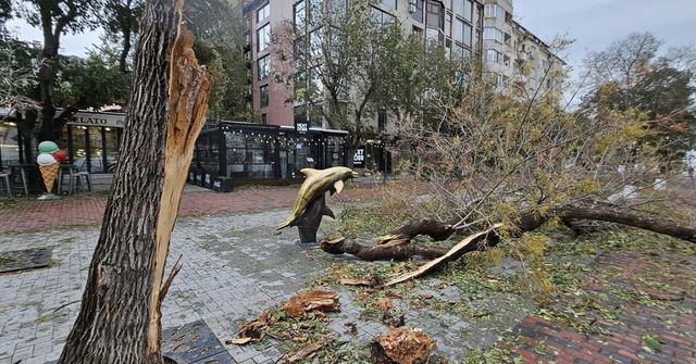 Всички ученици във Варна ще учат онлайн на 20 ноември