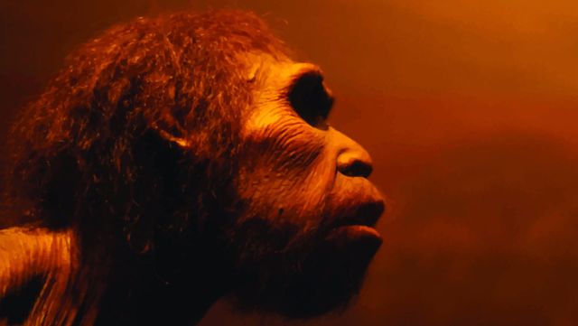 Neander-völgyi emberek nyomait tárták fel Franciaországban