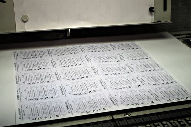 A inceput tiparirea buletinelor de vot in circumscripțiile uninominale: Peste 300 de candidați, inregistrați