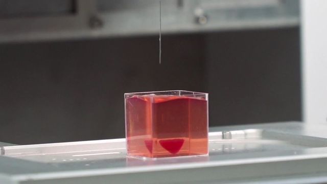 Oamenii de știință israelieni au realizat prima inimă vascularizată imprimată 3D