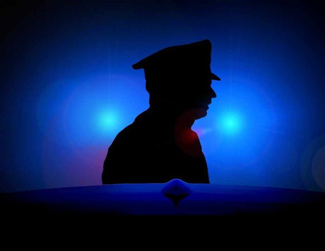 60 души са арестувани при полицейска акция в карловското село Розино