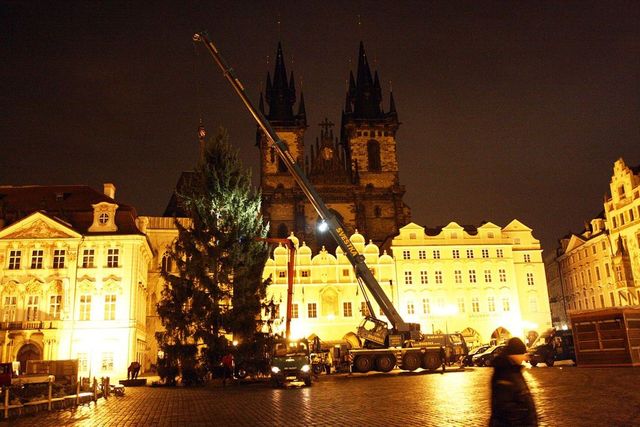 Vánoční smrk na Staroměstském náměstí bude z Jiřetína pod Jedlovou