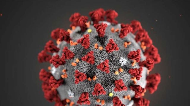 White House staffer tests positive for coronavirus