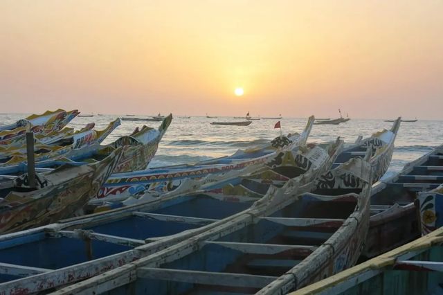 Cómo la pesca ilegal y la sobrepesca conducen a arriesgar la vida en el mar