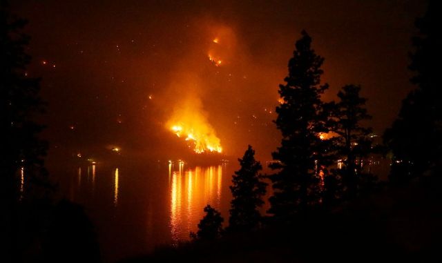 Incendiile de vegetație fac ravagii în Hawaii