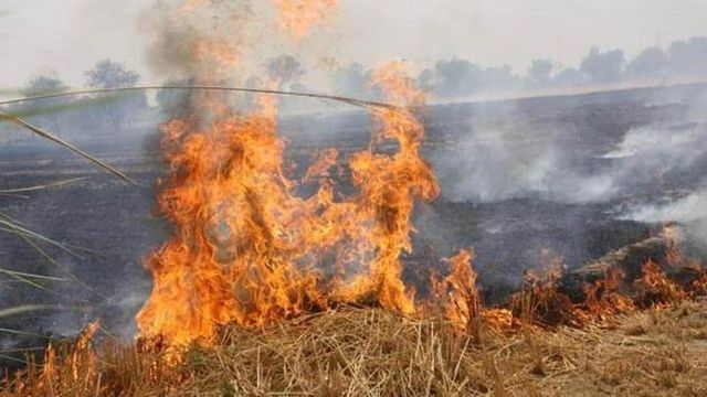 Supreme Court questions farmers’ blanket immunity in stubble burning