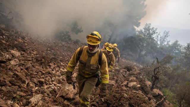 Un detenido por provocar intencionadamente varios incendios en la Sierra de Gredos, en Ávila