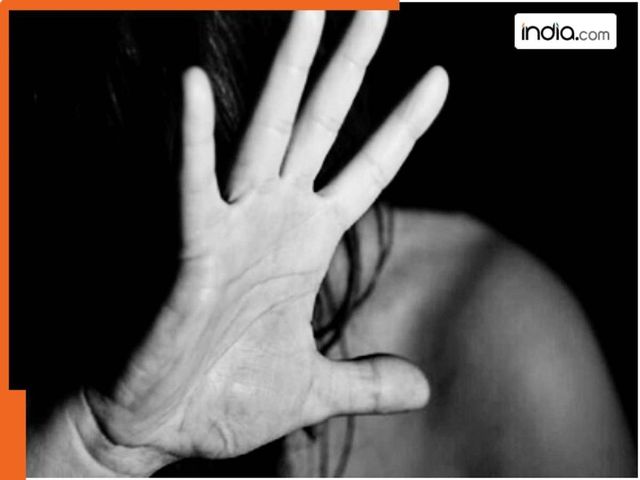 French woman raped in Udaipur, police looking for accused