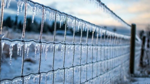 МЧС предупредило о тумане в Москве