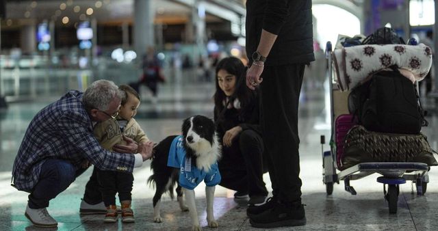 Più facile volare con cani e gatti in cabina