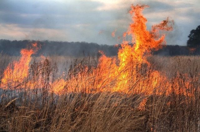 Moldova, sub cod galben de pericol de incendiu până la jumătatea lunii septembrie