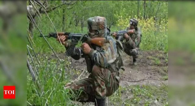 CRPF jawan killed in grenade attack in south Kashmir