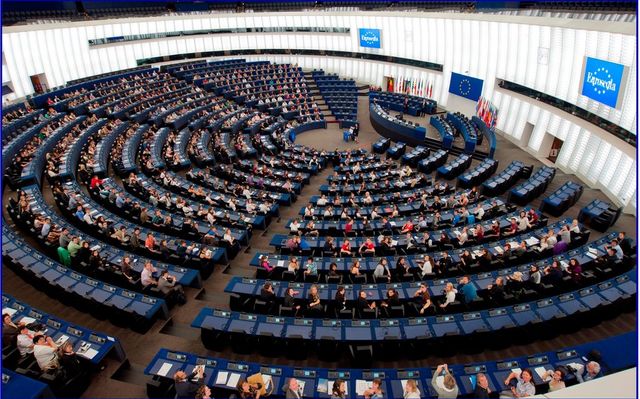Eurodeputat: Alegerile libere și democratice sunt o precondiție pentru sprijinul european
