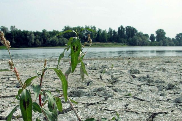 Ondate di calore e alluvioni in aumento nei prossimi anni: a rischio 6 città italiane