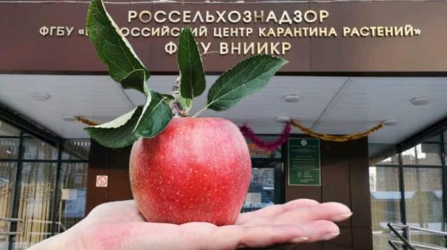 De astăzi, rușii interzic importul de produse vegetale din Republica Moldova