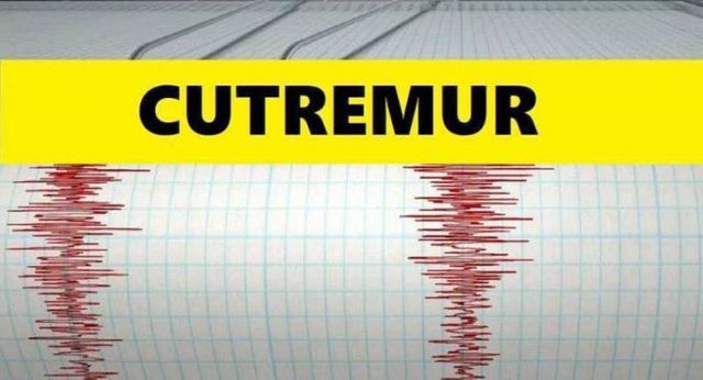 Val de cutremure în România în această dimineață