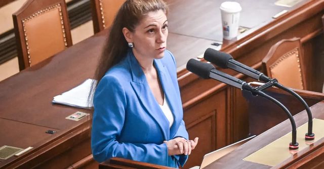 Žalobci doporučili nezveřejnit audit k bitcoinové kauze