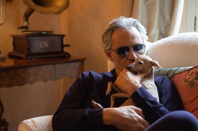 Il dramma di Andrea Bocelli: “Aiutateci a ritrovare il nostro cane Pallina smarrito in Sardegna”