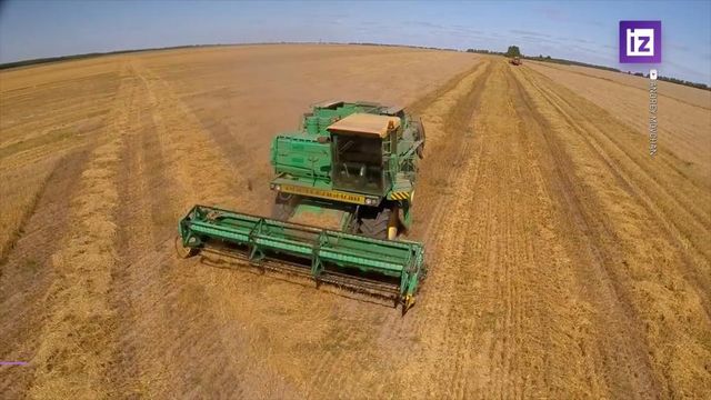 На Западе признали господство России на мировом рынке пшеницы