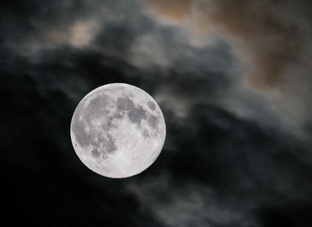 Horoscop săptămânal 27 noiembrie – 3 decembrie 2023. Venus în conjuncție cu Karma aduce situații neprevăzute pentru zodii