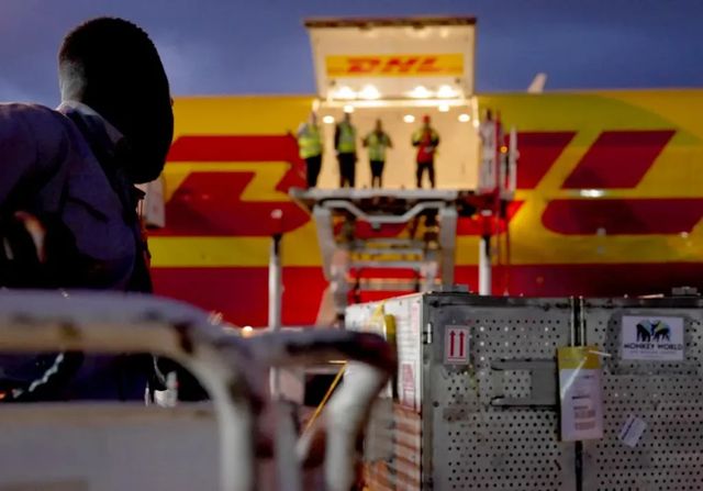 Los juguetes sexuales explosivos con los que Rusia trató de desestabilizar Europa