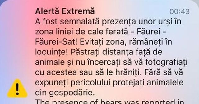 Mai mulți urși ar fi fost văzuți de un mecanic de locomotivă în Făurei, județul Brăila