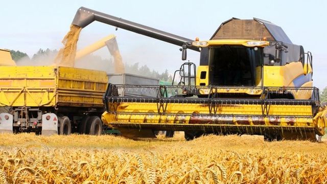 Tensiunile dintre Rusia și Ucraina scumpesc grâul pe piața mondială