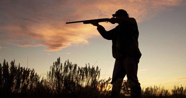Fejbe lőttek egy férfit egy nagybörzsönyi vadászaton