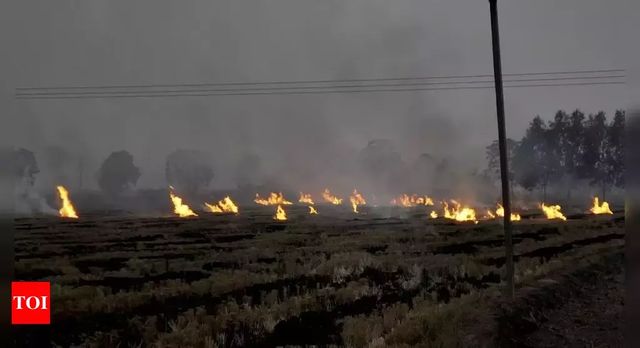 Punjab Stubble Burning At Highest In 4 Years Amid Anger Over Farm Laws