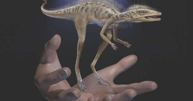 Apró élőlények lehettek a dinoszauruszok ősei