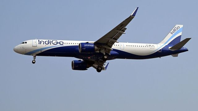 Narrow Escape For 175 Passengers As Bird Hits IndiGo Flight Near Ranchi, Forces Emergency Landi