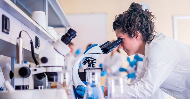 Gyorsabb gyógyszergyártás és áttétes daganatok vizsgálata – Rangos díjat kapott két magyar kutatónő