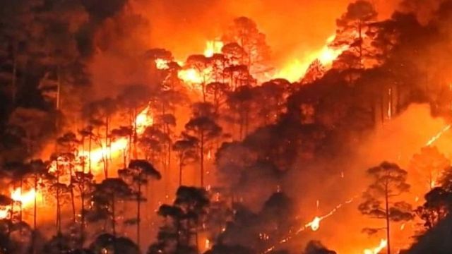 Forest Fire In Uttarakhand Spreads To Nainital HC Colony, 3 Arrested