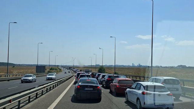 Haos pe Autostrada București-Ploiești: accident după ce mai multe vaci au rupt gardul de protecție și au pătruns pe A3