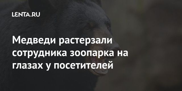 Медведи на глазах у посетителей растерзали смотрителя парка дикой природы