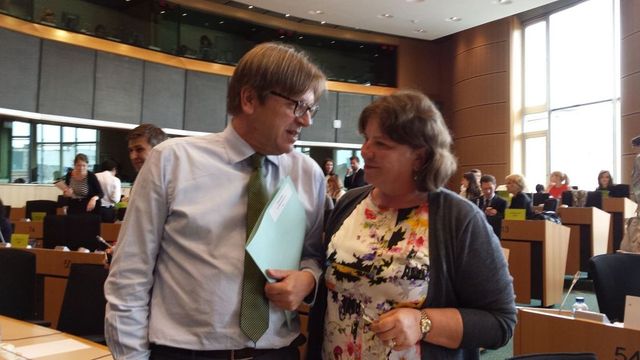 Norica Nicolai, către Guy Verhofstadt: Să-mi dai un telefon înainte să-ți iei bilet spre București