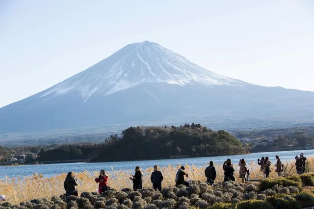 Un oraș japonez va bloca priveliștea spre Muntele Fuji cu un gard pentru a-i descuraja pe turiști