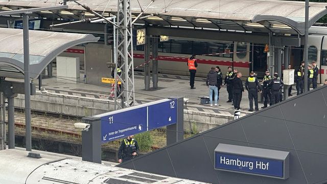 Tizenkét embert megsebesített egy késes támadó a hamburgi főpályaudvaron