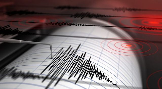 Cutremur vineri seară, în zona seismică Vrancea