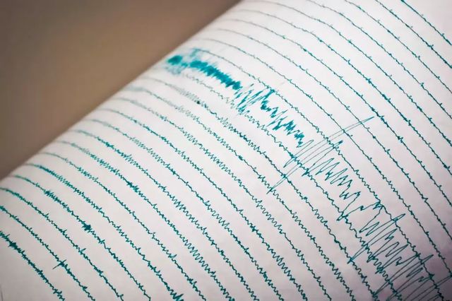 Cutremur cu magnitudinea 3,7 în Vrancea