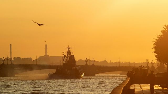 Шойгу назвал число участвующих в военно-морском параде в Санкт-Петербурге кораблей