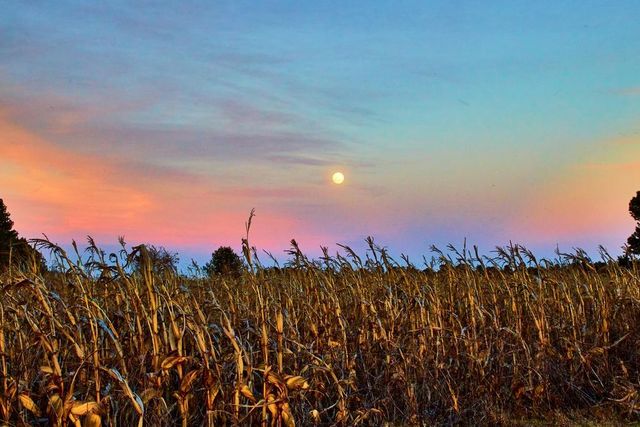 Luna piena di settembre 2025: la Luna del Raccolto e l’eclissi totale