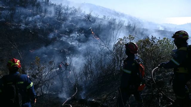 Noi incendii de vegetație în Grecia, care ordonă evacuarea unei localități din apropierea Atenei