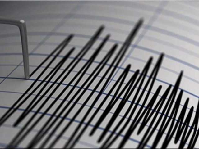 Cutremur cu magnitudinea 4 în județul Vrancea