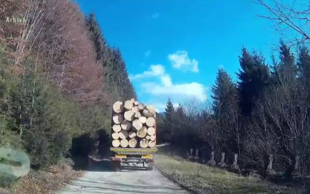 Primarul PSD din Vlădești, Cristian Dică Hristu, prins la volanul unui camion cu lemne de furat