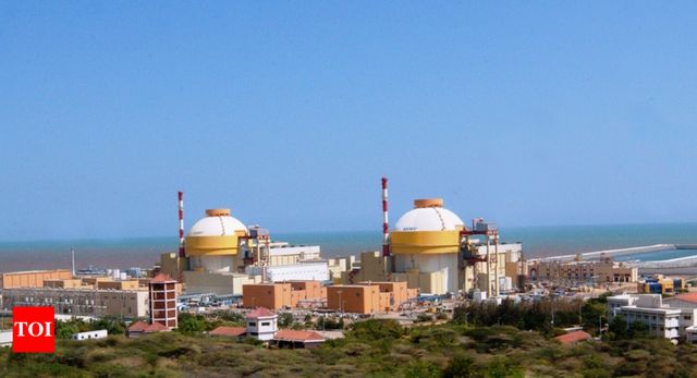 Kudankulam nuclear plant is safe, India tells Russia