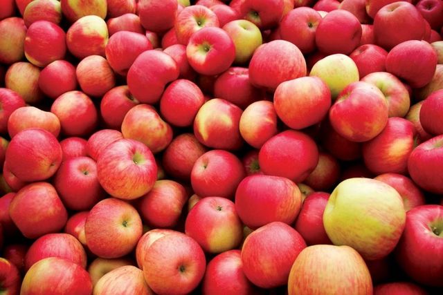 Un fermier din raionul Ungheni a donat două tone de mere unui Spitalului nr.1 din Capitală
