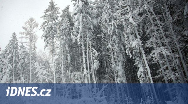 Sněžit bude na horách i nadále, v Čechách hrozí náledí