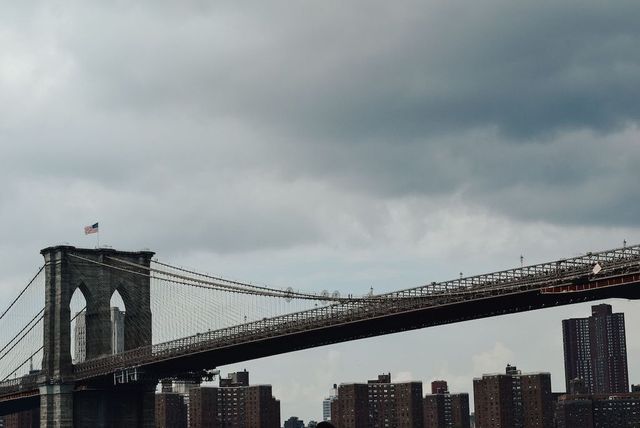 New York, si arrampica sul ponte di Brooklyn e la polizia lo uccide - Il video