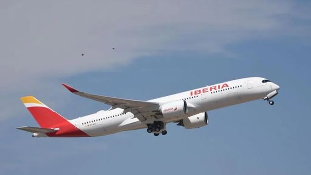 Una tarántula pica en pleno vuelo a un piloto de Iberia alérgico a las arañas